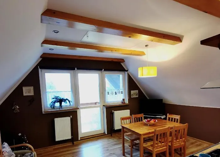 Maja 37 加诺维采威尔基耶