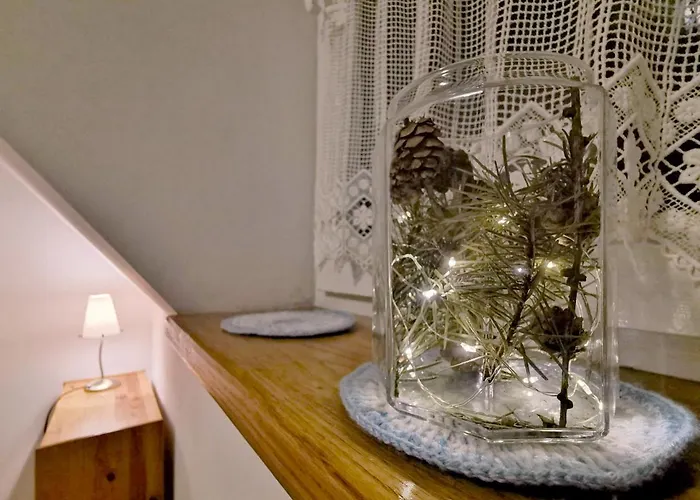 Maja 37 * 加诺维采威尔基耶