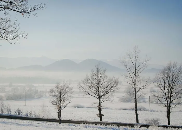 公寓 Maja 37 加诺维采威尔基耶