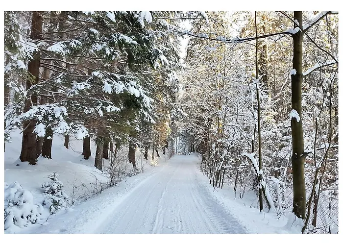 Maja 37 加诺维采威尔基耶