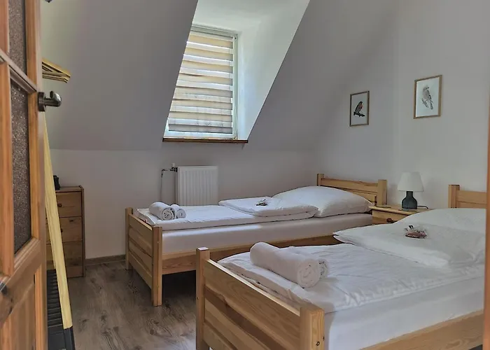 Maja 37 公寓 加诺维采威尔基耶